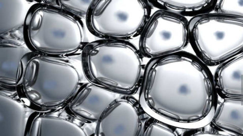 Skin Barrier Health: An Essential Guide - Syll Botanics