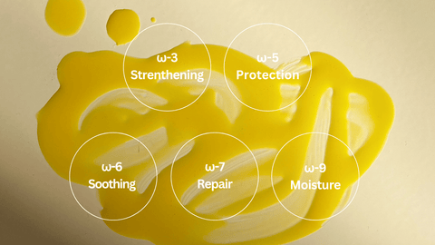 Skin Challenges? Why you may need a FULL spectrum of Omegas in your skincare. - Syll Botanics