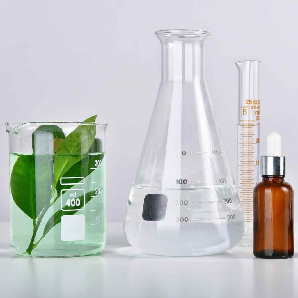Chemistry lab beakers and cosmetic bottles with plants inside