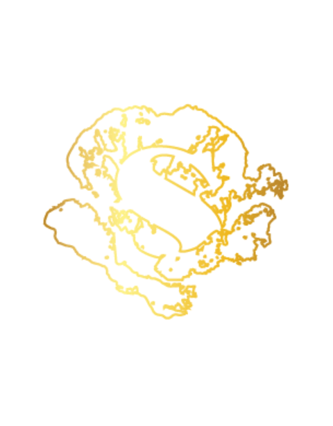 The -  - Syll_Botanics